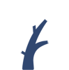 HEALTH CARE